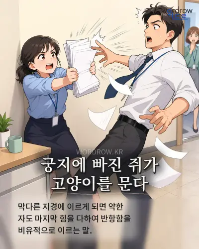 한국어 속담 “궁지에 빠진 쥐가 고양이를 문다” 1컷 일러스트