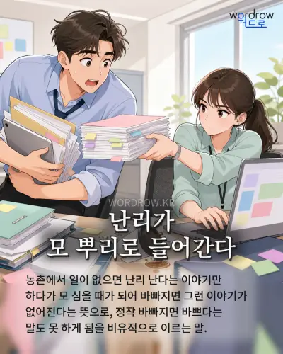 한국어 속담 “난리가 모 뿌리로 들어간다” 1컷 일러스트
