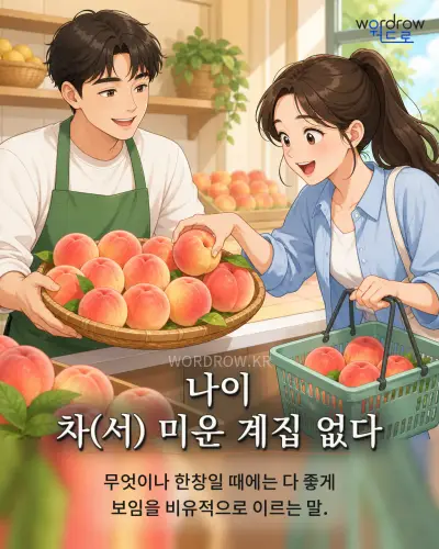 한국어 속담 “나이 차(서) 미운 계집 없다” 1컷 일러스트
