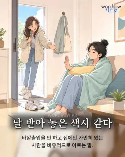 한국어 속담 “날 받아 놓은 색시 같다” 1컷 일러스트
