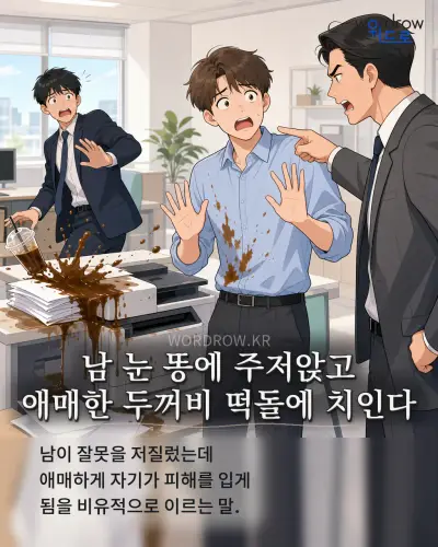 한국어 속담 “남 눈 똥에 주저앉고 애매한 두꺼비 떡돌에 치인다” 1컷 일러스트