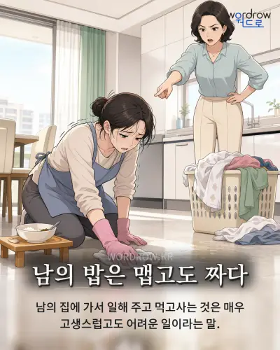 한국어 속담 “남의 밥은 맵고도 짜다” 1컷 일러스트
