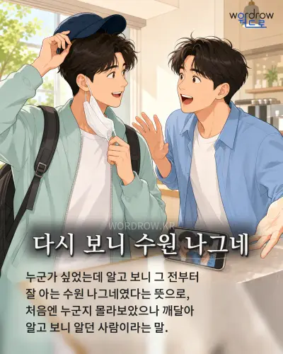 한국어 속담 “다시 보니 수원 나그네” 1컷 일러스트