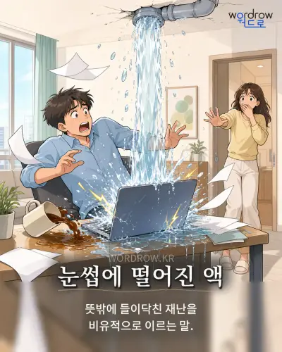 한국어 속담 “눈썹에 떨어진 액” 1컷 일러스트