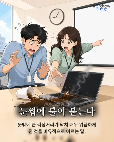 한국어 속담 “눈썹에 불이 붙는다” 1컷 일러스트
