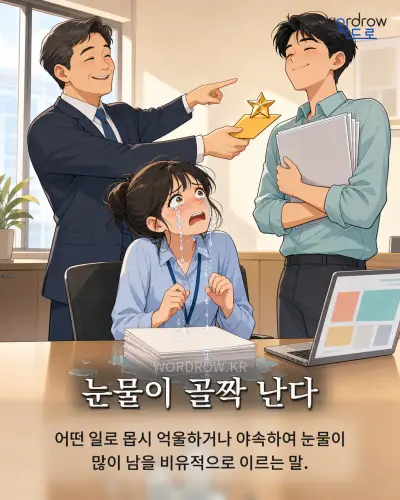 한국어 속담 “눈물이 골짝 난다” 1컷 일러스트