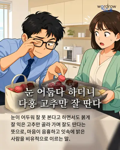 한국어 속담 “눈 어둡다 하더니 다홍 고추만 잘 딴다” 1컷 일러스트
