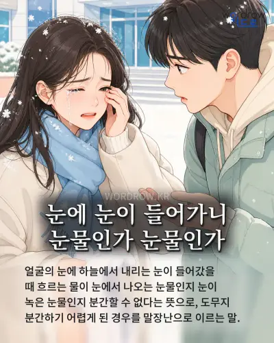 한국어 속담 “눈에 눈이 들어가니 눈물인가 눈물인가” 1컷 일러스트