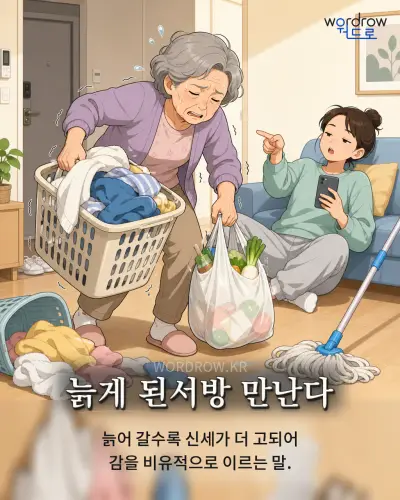 한국어 속담 “늙게 된서방 만난다” 1컷 일러스트