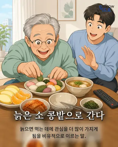 한국어 속담 “늙은 소 콩밭으로 간다” 1컷 일러스트