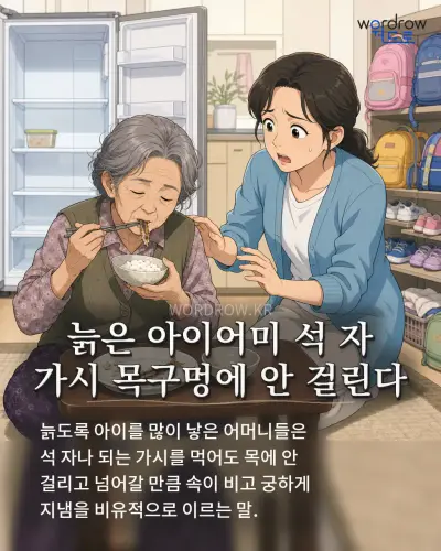 한국어 속담 “늙은 아이어미 석 자 가시 목구멍에 안 걸린다” 1컷 일러스트