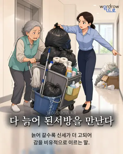 한국어 속담 “다 늙어 된서방을 만난다” 1컷 일러스트