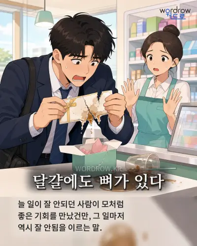 한국어 속담 “달걀에도 뼈가 있다” 1컷 일러스트