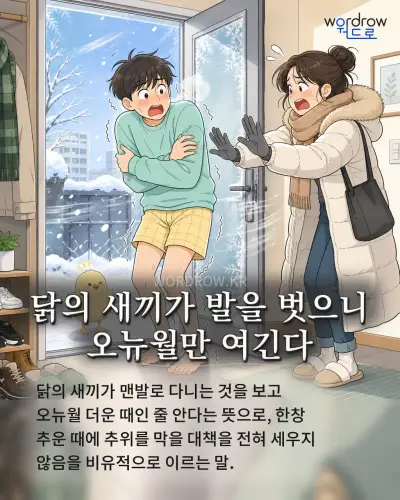 한국어 속담 “닭의 새끼가 발을 벗으니 오뉴월만 여긴다” 1컷 일러스트