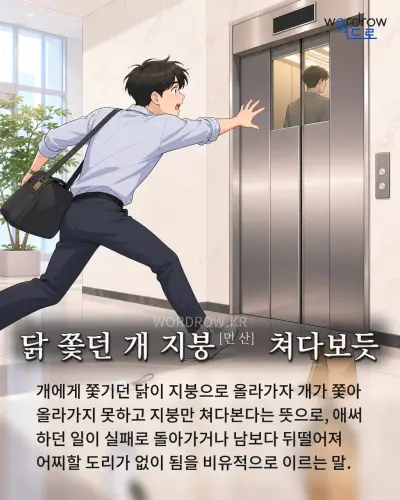 한국어 속담 “닭 쫓던 개 지붕[먼 산] 쳐다보듯” 1컷 일러스트