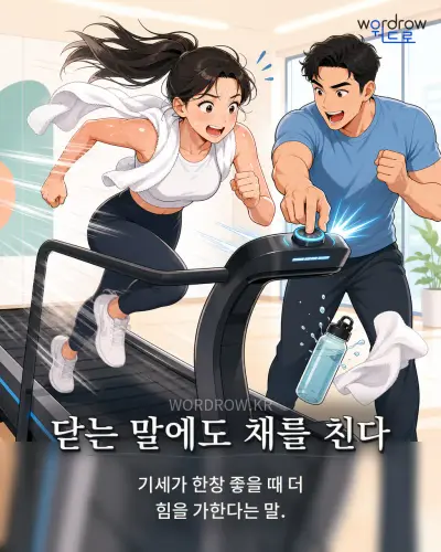 한국어 속담 “닫는 말에도 채를 친다” 1컷 일러스트