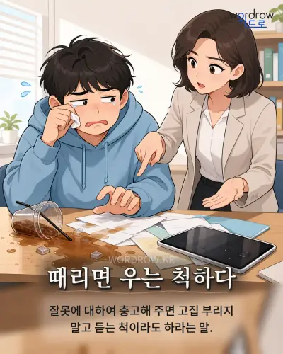 한국어 속담 “때리면 우는 척하다” 1컷 일러스트