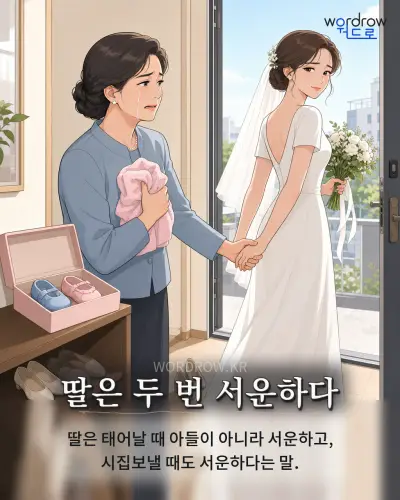 한국어 속담 “딸은 두 번 서운하다” 1컷 일러스트
