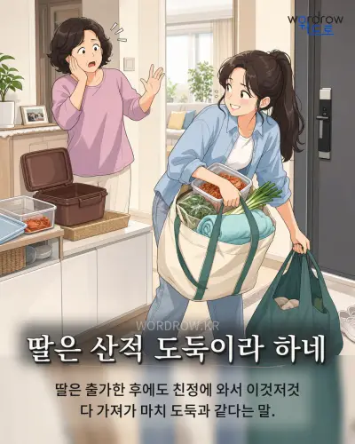 한국어 속담 “딸은 산적 도둑이라 하네” 1컷 일러스트