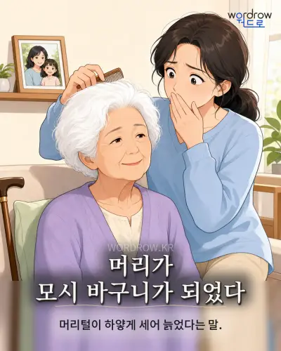 한국어 속담 “머리가 모시 바구니가 되었다” 1컷 일러스트