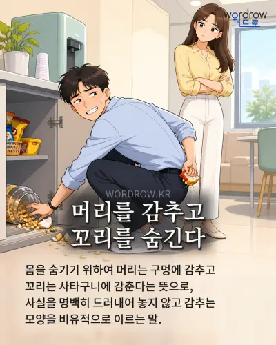 한국어 속담 “머리를 감추고 꼬리를 숨긴다” 1컷 일러스트