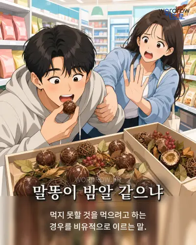 한국어 속담 “말똥이 밤알 같으냐” 1컷 일러스트