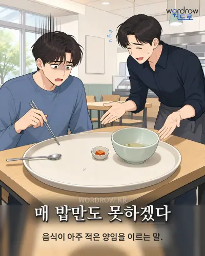 한국어 속담 “매 밥만도 못하겠다” 1컷 일러스트