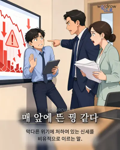 한국어 속담 “매 앞에 뜬 꿩 같다” 1컷 일러스트