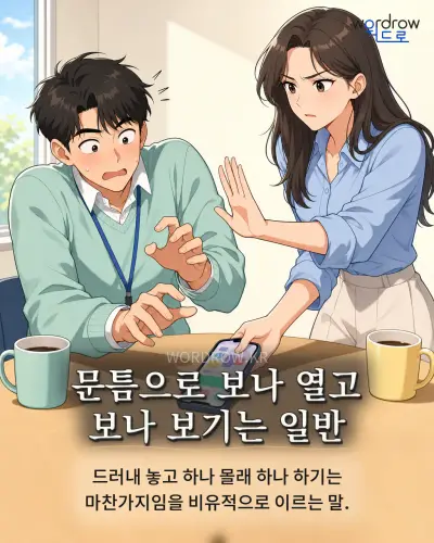 한국어 속담 “문틈으로 보나 열고 보나 보기는 일반” 1컷 일러스트