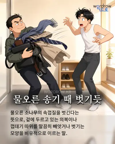 한국어 속담 “물오른 송기 때 벗기듯” 1컷 일러스트