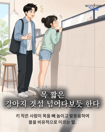한국어 속담 “목 짧은 강아지 겻섬 넘어다보듯 한다” 1컷 일러스트