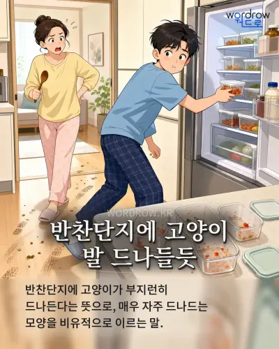 한국어 속담 “반찬단지에 고양이 발 드나들듯” 1컷 일러스트