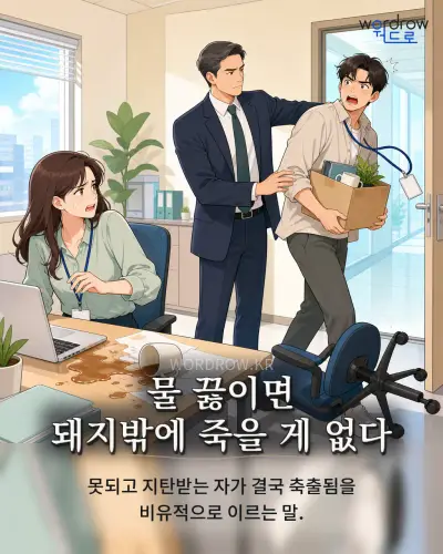한국어 속담 “물 끓이면 돼지밖에 죽을 게 없다” 1컷 일러스트