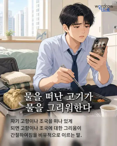 한국어 속담 “물을 떠난 고기가 물을 그리워한다” 1컷 일러스트