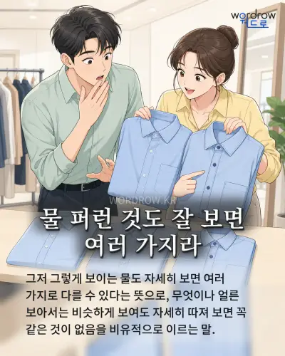 한국어 속담 “물 퍼런 것도 잘 보면 여러 가지라” 1컷 일러스트