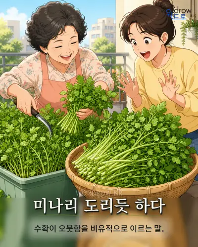 한국어 속담 “미나리 도리듯 하다” 1컷 일러스트