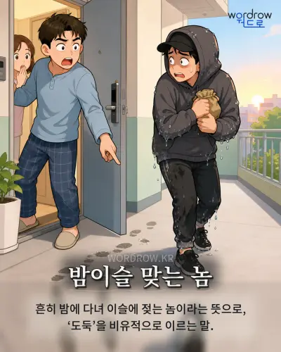 한국어 속담 “밤이슬 맞는 놈” 1컷 일러스트