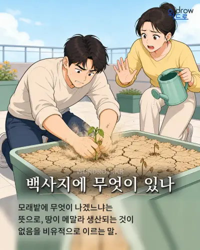 한국어 속담 “백사지에 무엇이 있나” 1컷 일러스트