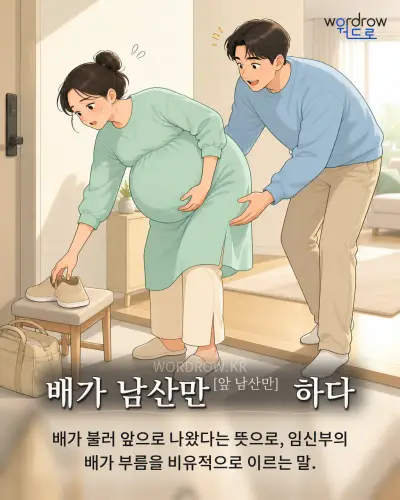 한국어 속담 “배가 남산만[앞 남산만] 하다” 1컷 일러스트