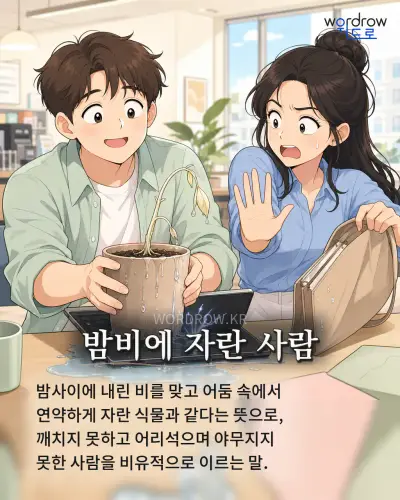 한국어 속담 “밤비에 자란 사람” 1컷 일러스트