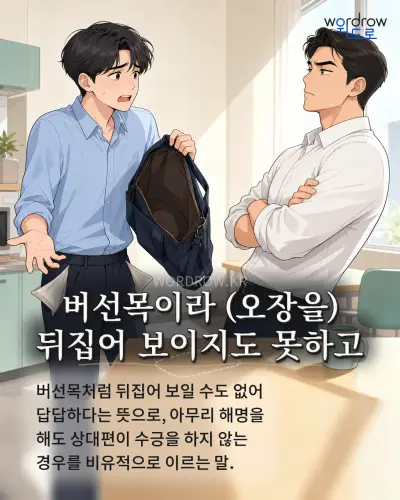 한국어 속담 “버선목이라 (오장을) 뒤집어 보이지도 못하고” 1컷 일러스트