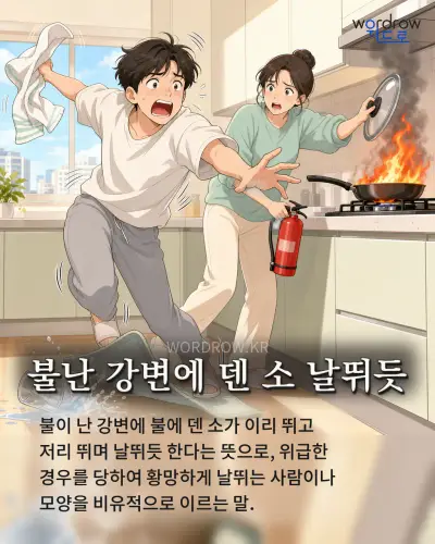 한국어 속담 “불난 강변에 덴 소 날뛰듯” 1컷 일러스트