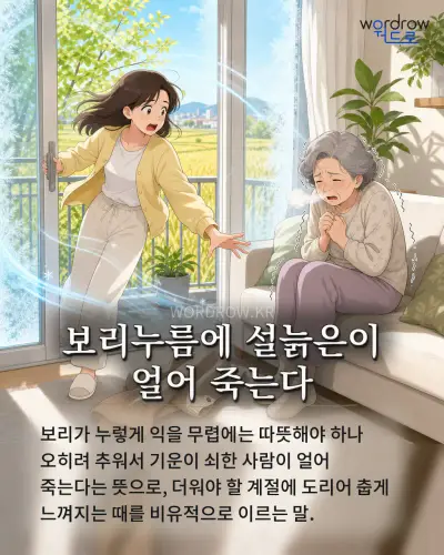 한국어 속담 “보리누름에 설늙은이 얼어 죽는다” 1컷 일러스트