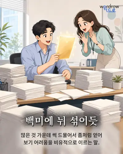 한국어 속담 “백미에 뉘 섞이듯” 1컷 일러스트