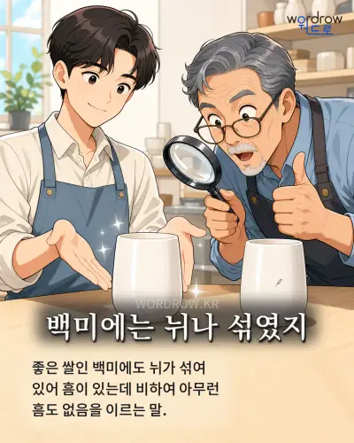 한국어 속담 “백미에는 뉘나 섞였지” 1컷 일러스트