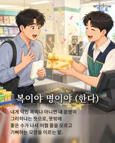 한국어 속담 “복이야 명이야 (한다)” 1컷 일러스트