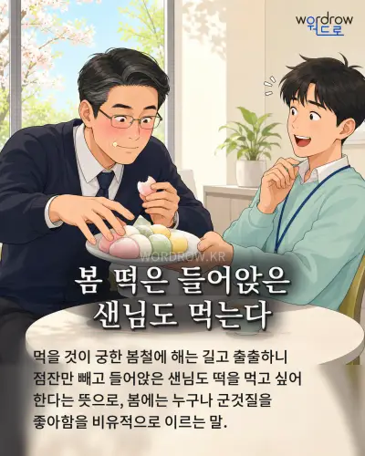 한국어 속담 “봄 떡은 들어앉은 샌님도 먹는다” 1컷 일러스트