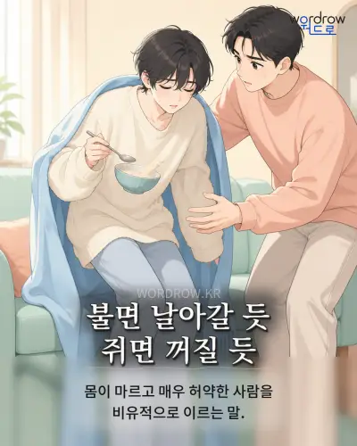 한국어 속담 “불면 날아갈 듯 쥐면 꺼질 듯” 1컷 일러스트
