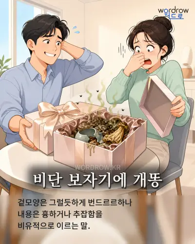 한국어 속담 “비단 보자기에 개똥” 1컷 일러스트