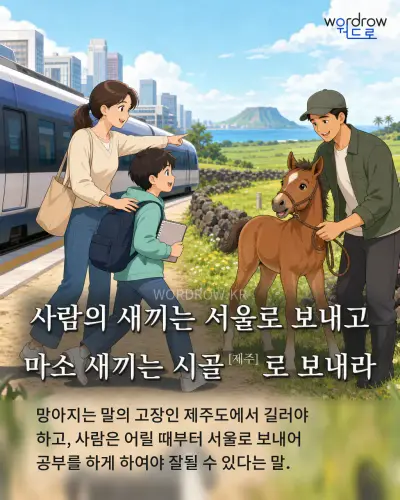 한국어 속담 “사람의 새끼는 서울로 보내고 마소 새끼는 시골[제주]로 보내라” 1컷 일러스트